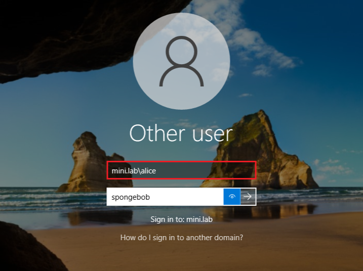 LAN-WS01-WIN-alice-domain-susccess-auth.png