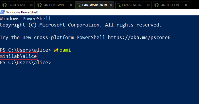 LAN-WS01-WIN-alice-login-check.png