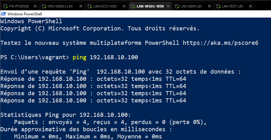 LAN-WS01-WIN-pings-LAN.png