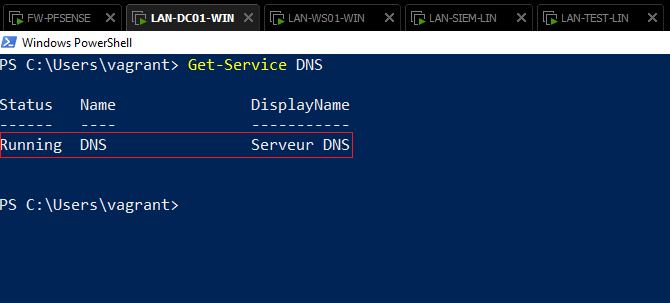 LAN-DC01-WIN-DNS-state-Powershell.png