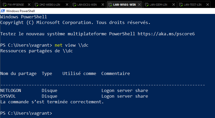 LAN-WS01-WIN-shares-check.png